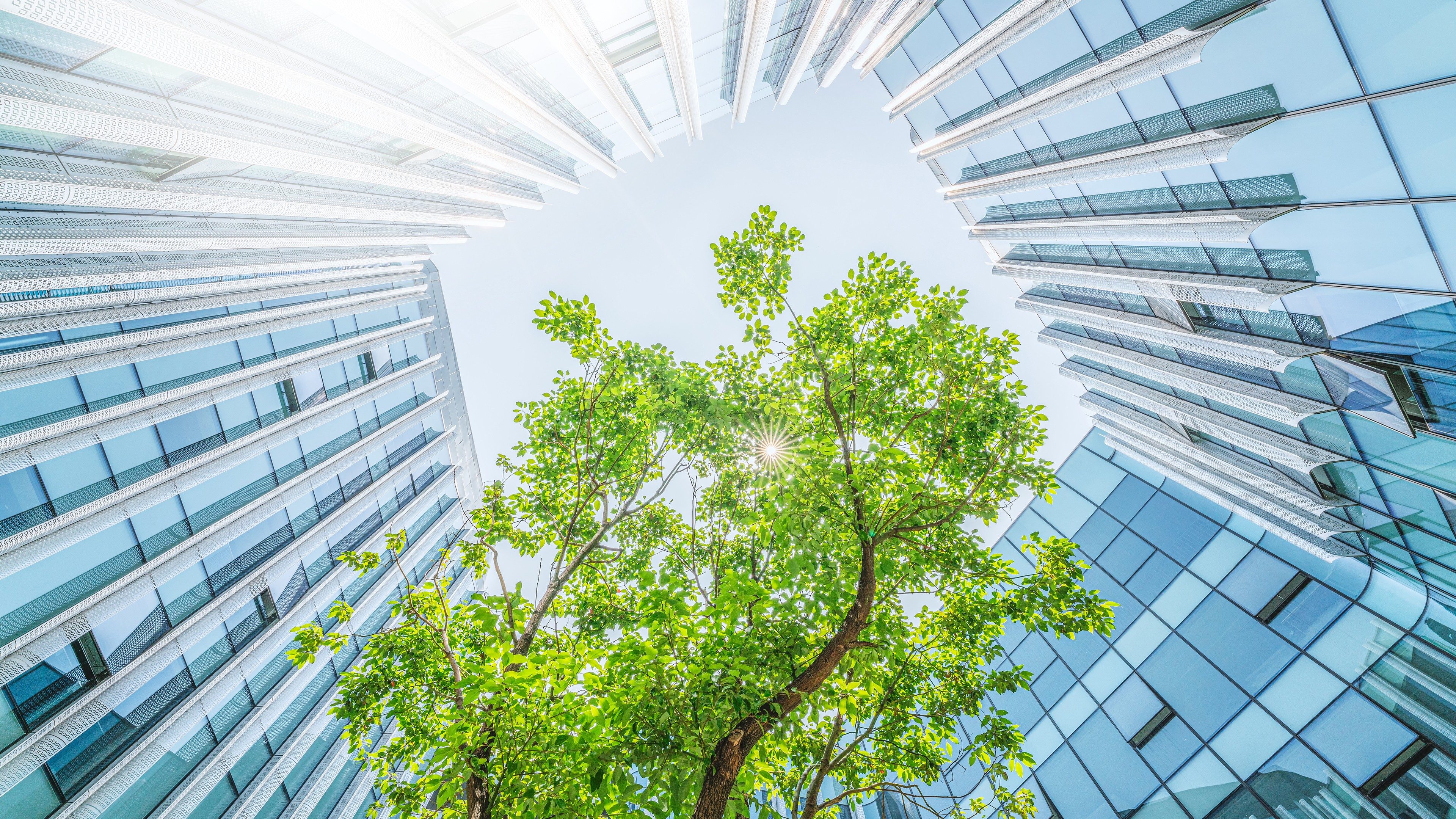 Future ecological city