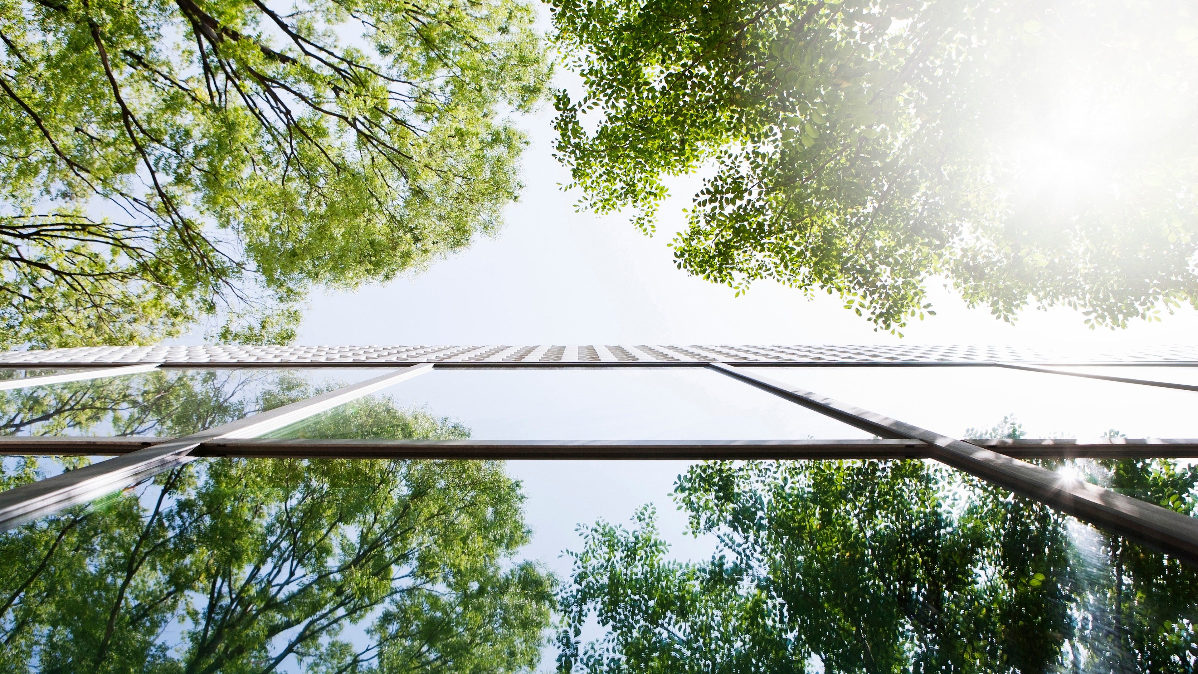 Glass-walled building reflecting trees. This is shoot with a composition to look up from a lower place.