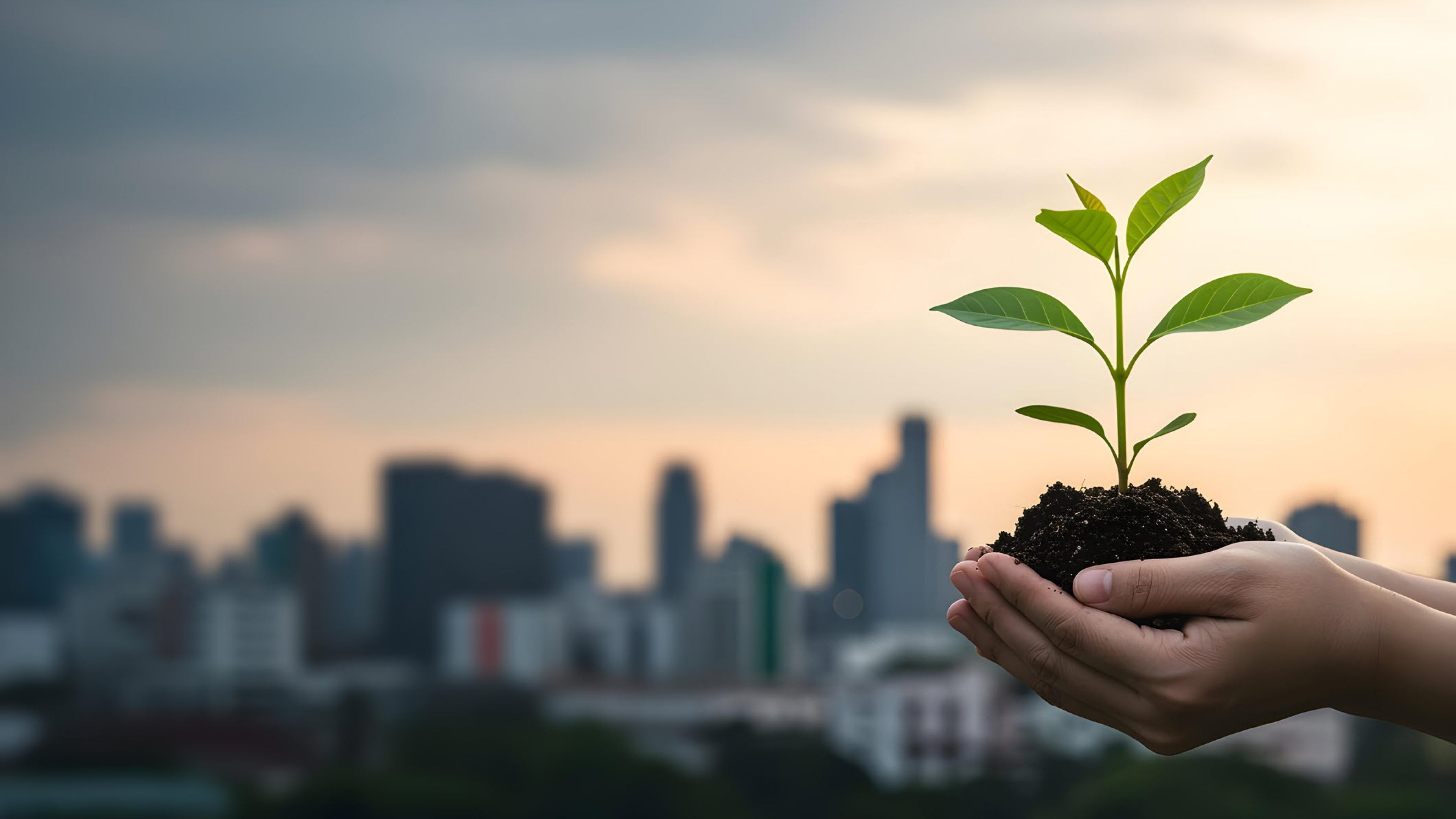 A hand holding a plant in front of a skyline generated by AI.