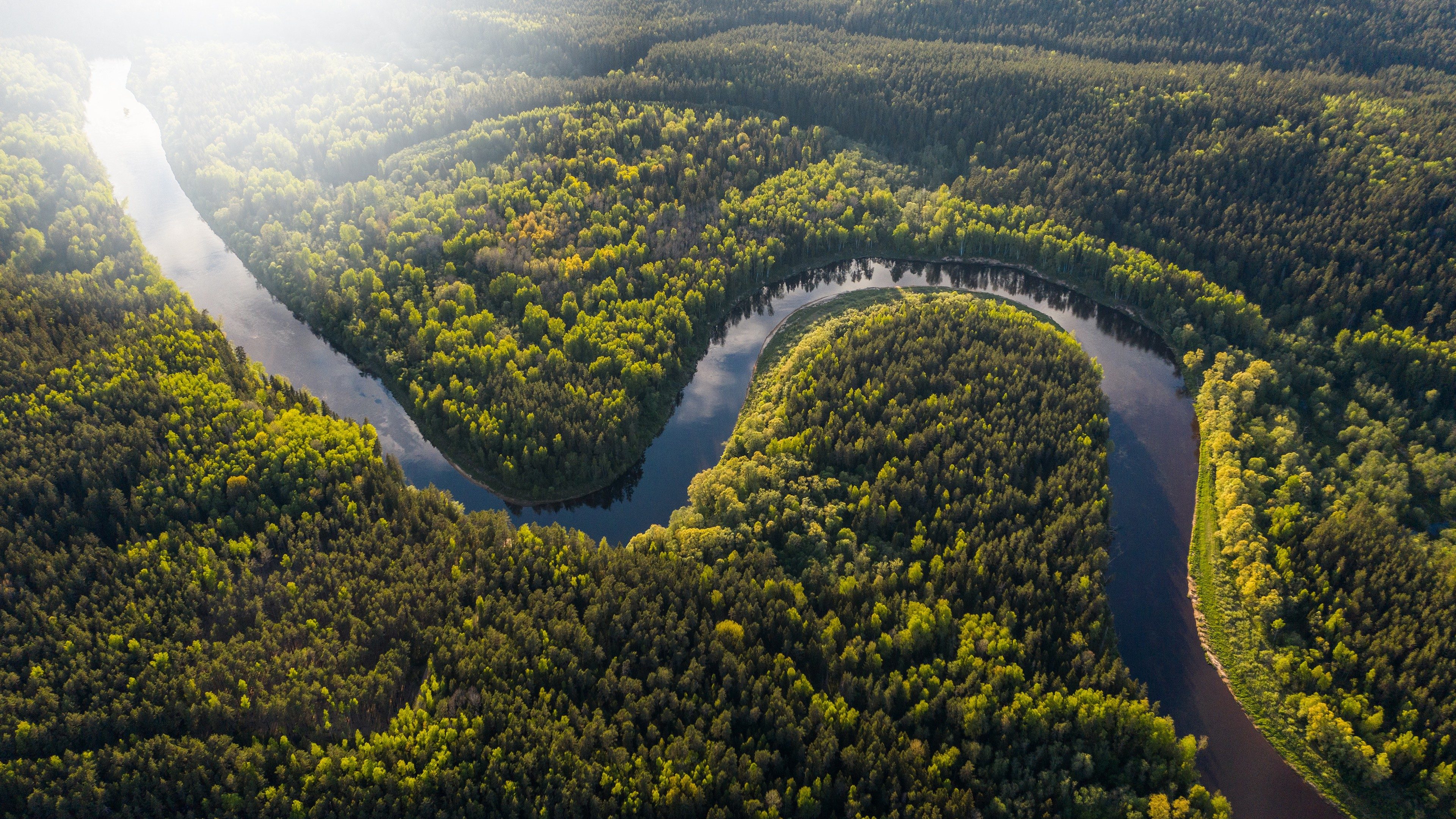 Vue aérienne d'une rivière formant un méandre parfait au cœur d'une forêt dense, symbolisant la préservation de l'environnement.