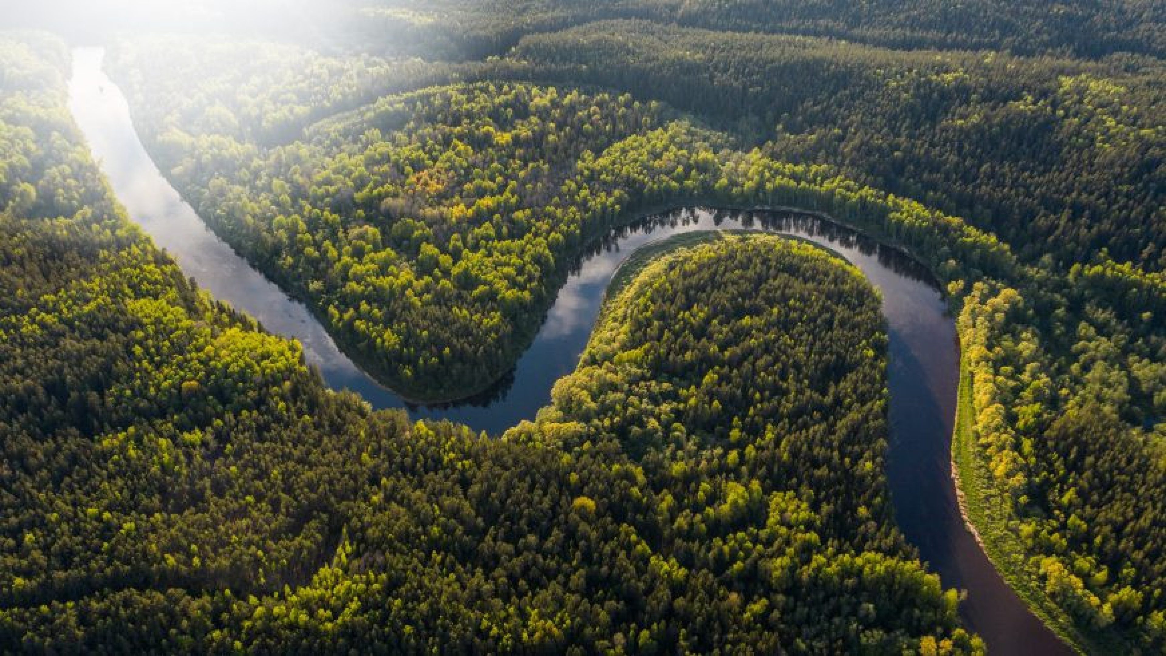 Vue aérienne d'une rivière formant un méandre parfait au cœur d'une forêt dense et verdoyante, symbolisant l'engagement durable et l'investissement responsable.