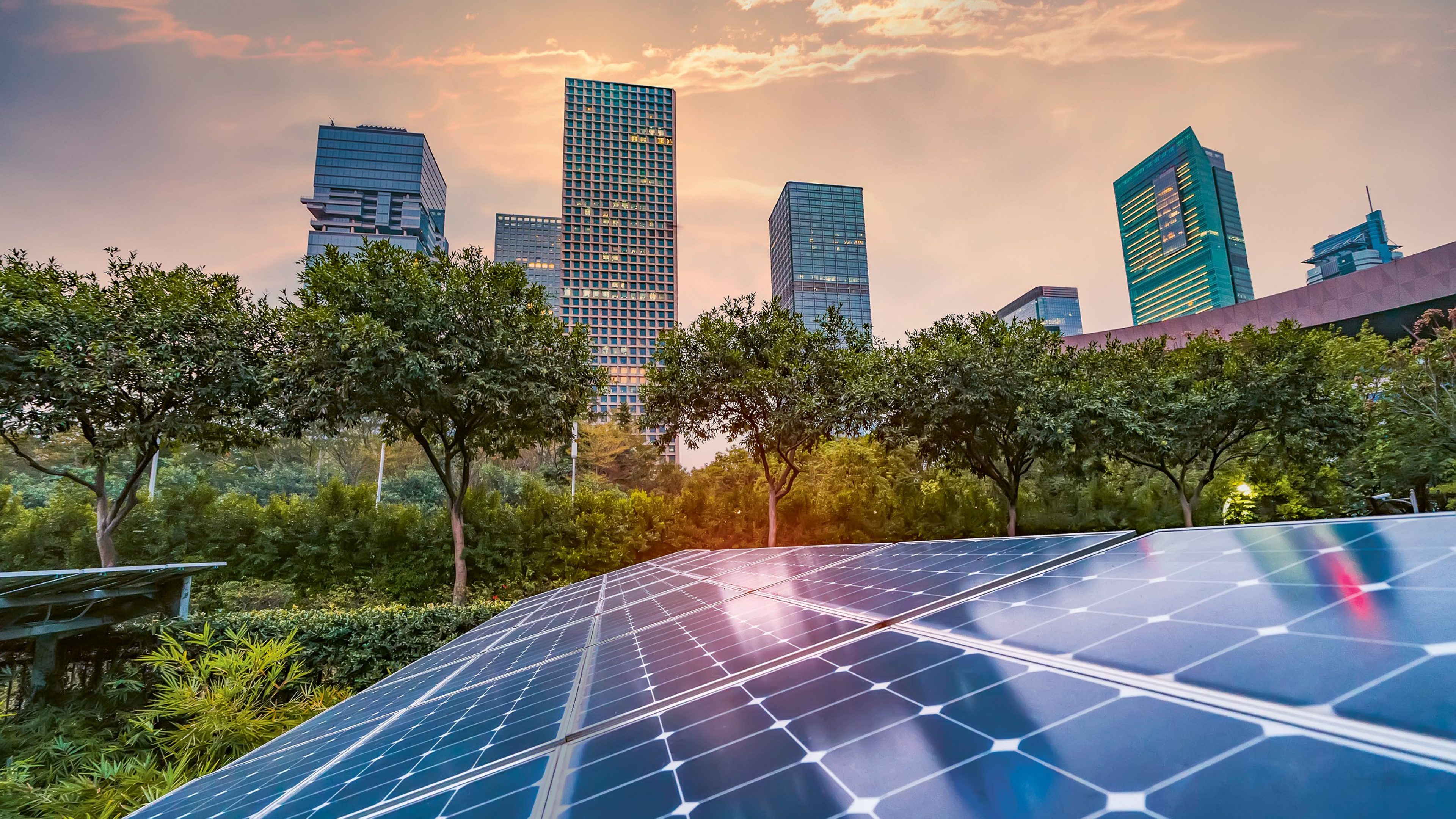 Une centrale solaire avec des arbres et des bâtiments en arrière-plan.