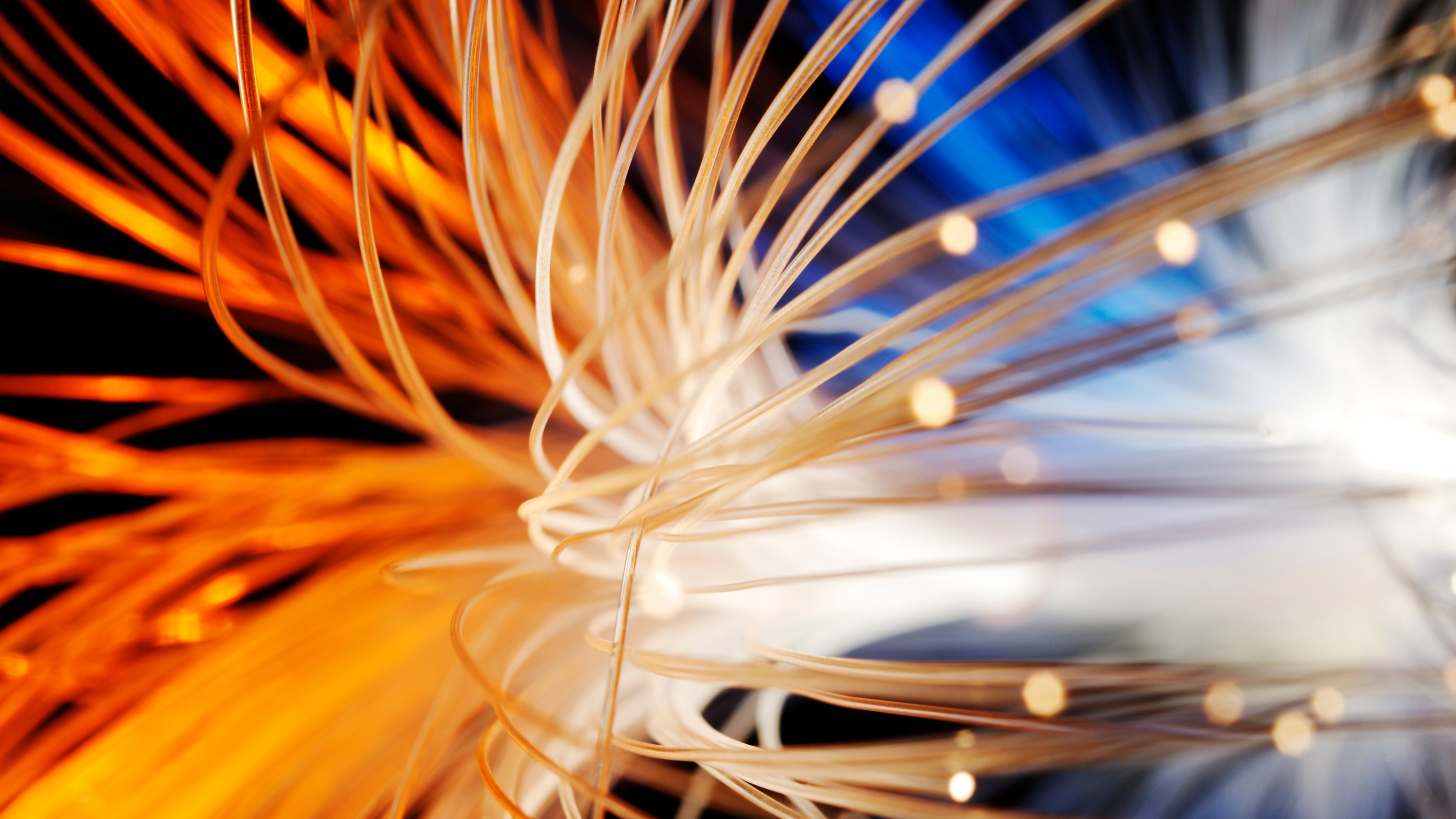 Light signals traveling through fiber optic cables. Shallow depth of field differential focus