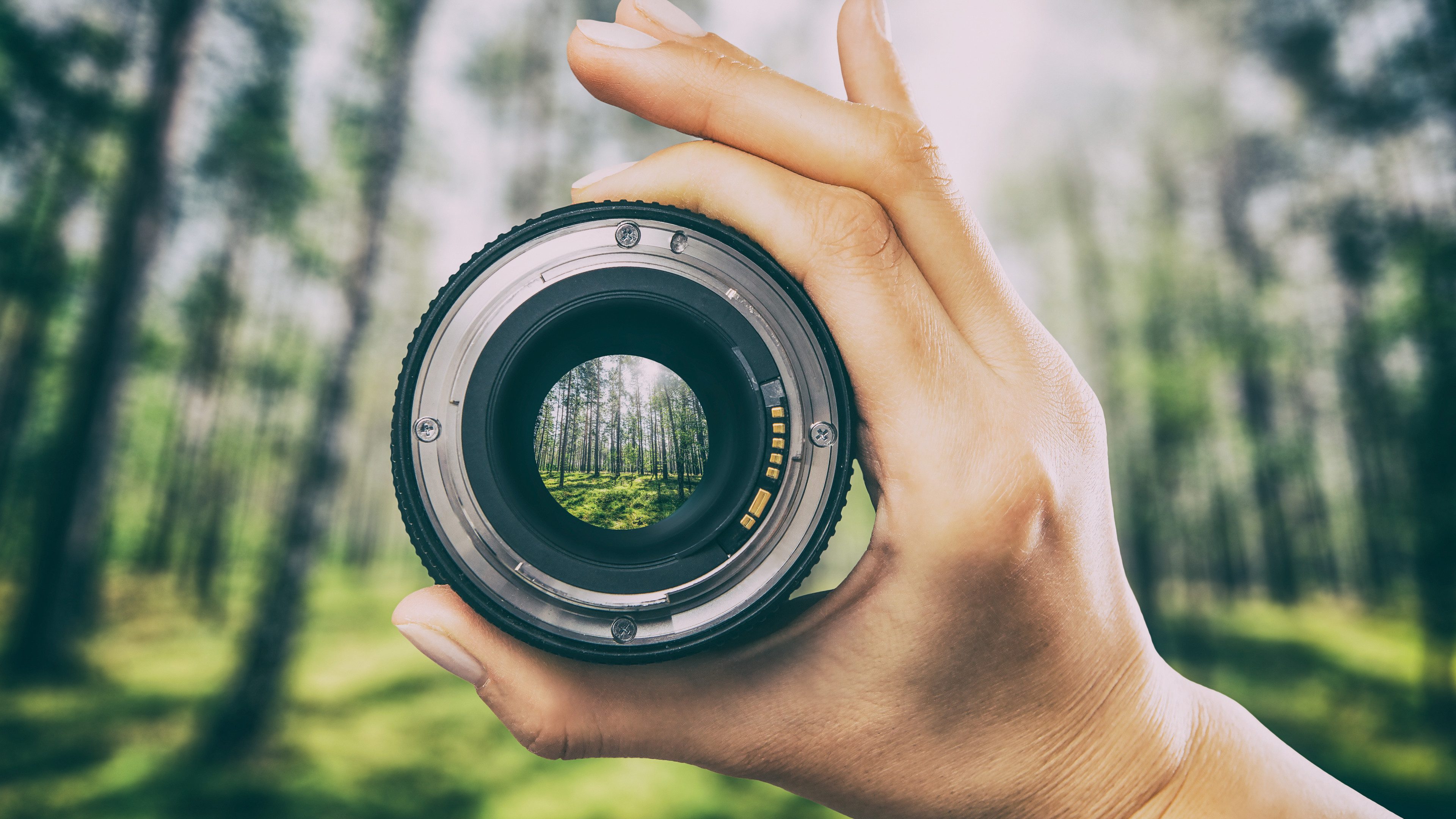 photography view camera photographer lens forest trees lense through video photo digital glass hand blurred focus people concept - stock image