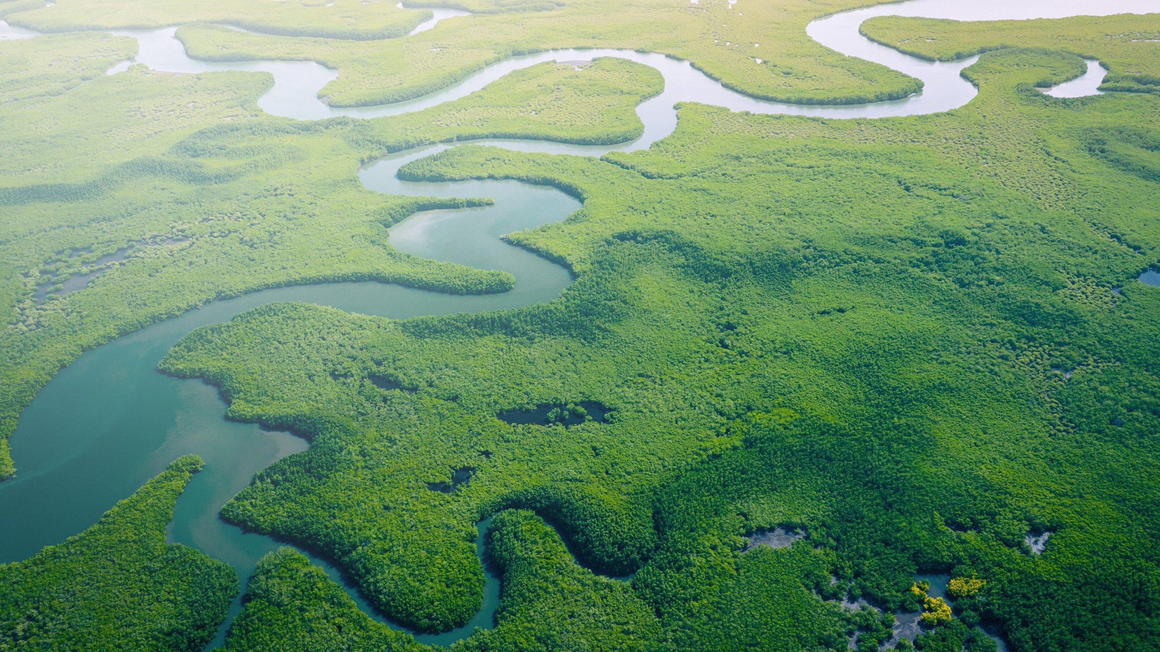 Vue aérienne panoramique d'un fleuve sinueux serpentant à travers une forêt tropicale dense et verdoyante, symbolisant la durabilité et l'écosystème.